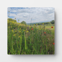 Spring riverside photography