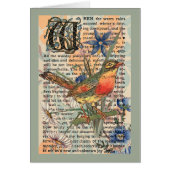 Spring Robin (Front)