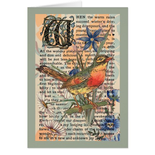 Spring Robin (Front)