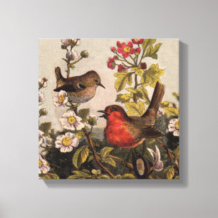 Spring Robin Birds Red Birding Canvas Print