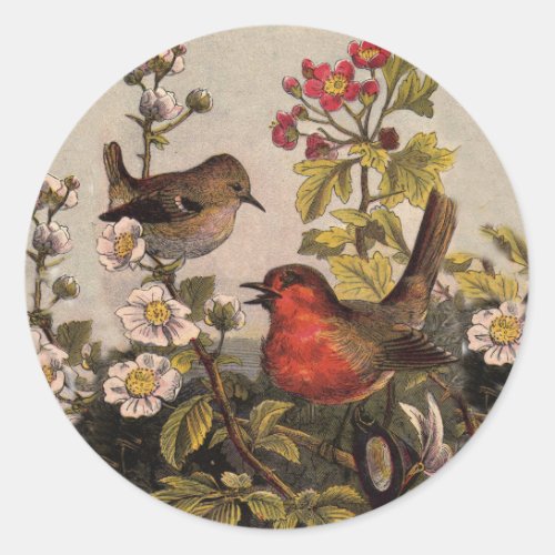 Spring Robin Birds Red Birding Classic Round Sticker