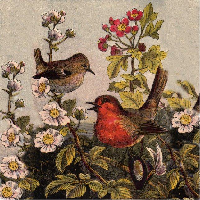 Spring Robin Birds Red Birding Cutout (Front)