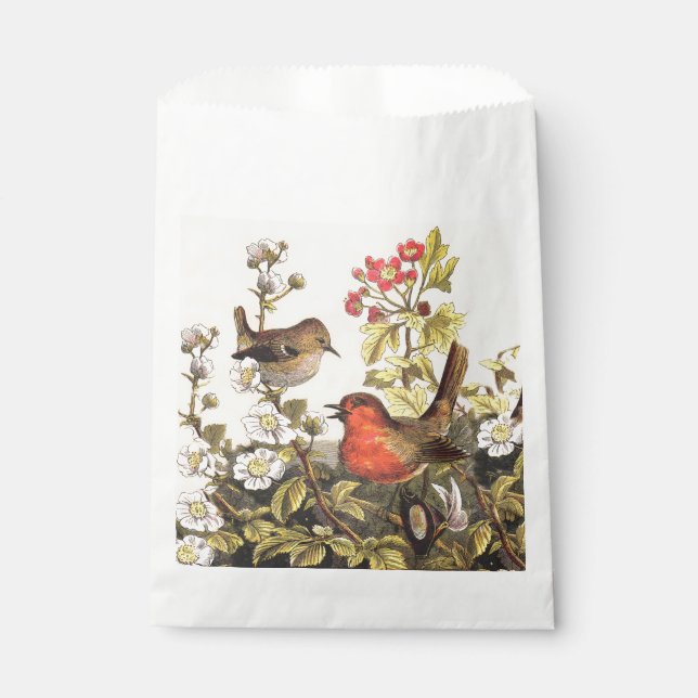 Spring Robin Birds Red Birding Favor Bag (Front)