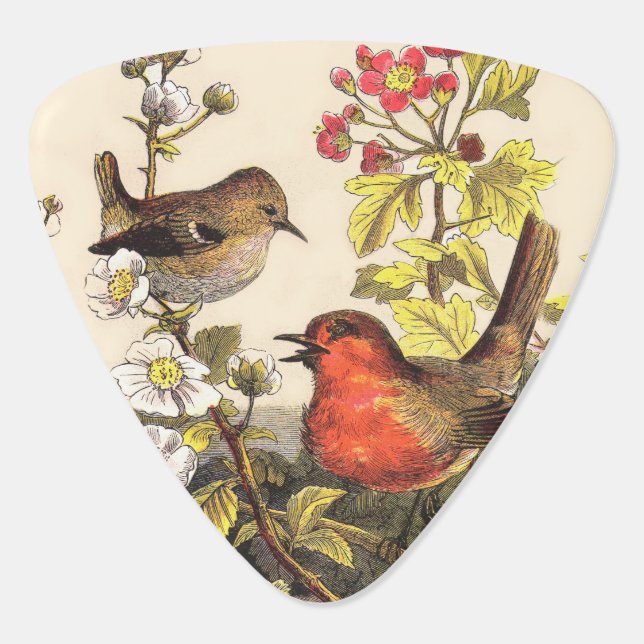 Spring Robin Birds Red Birding Guitar Pick (Back)