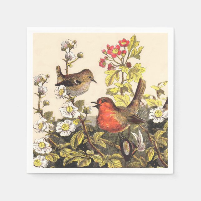 Spring Robin Birds Red Birding Paper Napkins (Front)