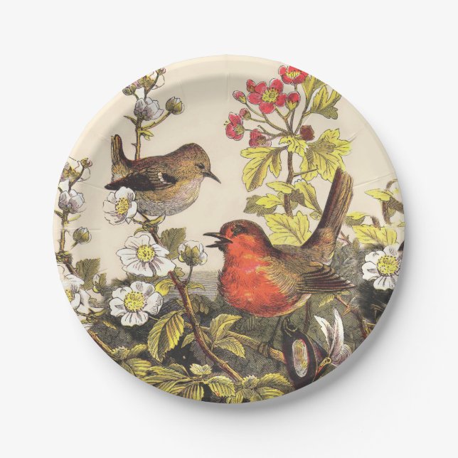Spring Robin Birds Red Birding Paper Plates (Front)