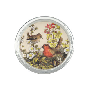 Spring Robin Birds Red Birding Ring