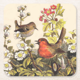 Spring Robin Birds Red Birding Square Paper Coaster
