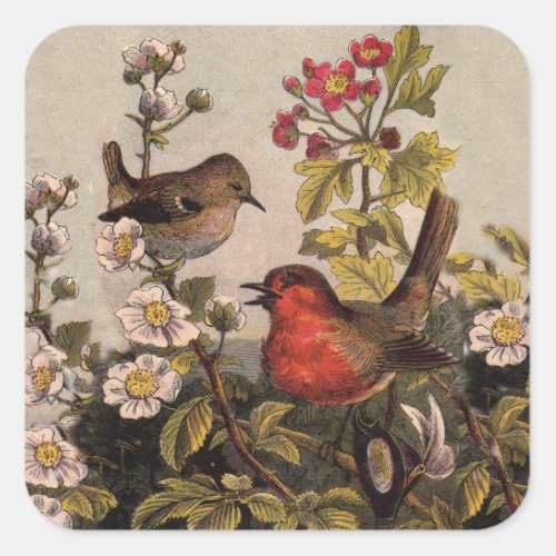 Spring Robin Birds Red Birding Square Sticker