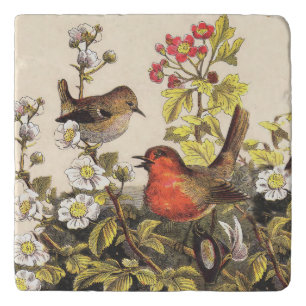 Spring Robin Birds Red Birding Trivet