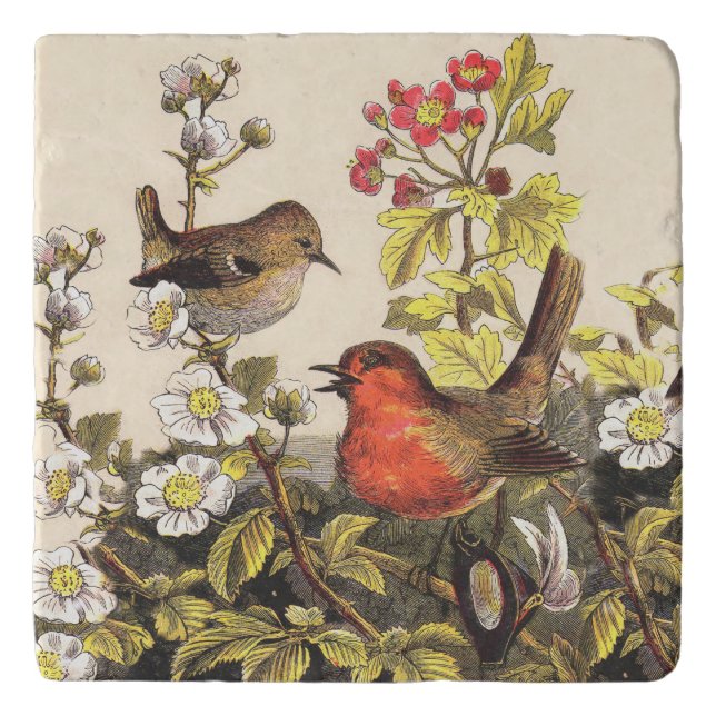 Spring Robin Birds Red Birding Trivet (Front)