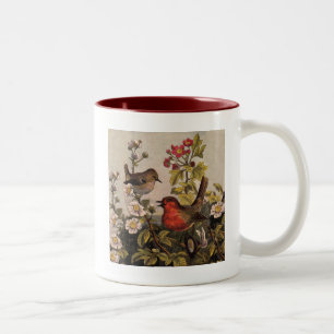 Spring Robin Birds Red Birding Two-Tone Coffee Mug