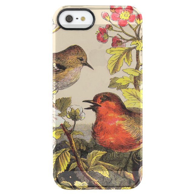 Spring Robin Birds Red Birding Uncommon iPhone Case (Back)