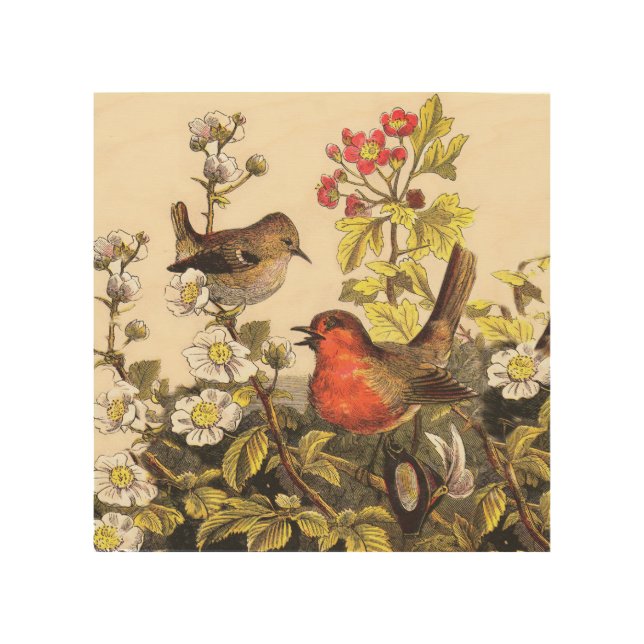 Spring Robin Birds Red Birding Wood Wall Art (Front)