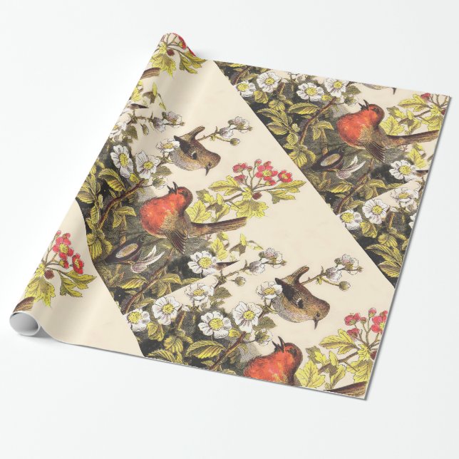Spring Robin Birds Red Birding Wrapping Paper (Unrolled)
