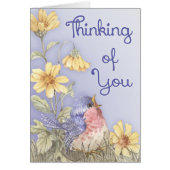 Spring Robin Cards (Front)