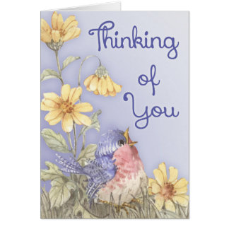 Spring Robin Cards
