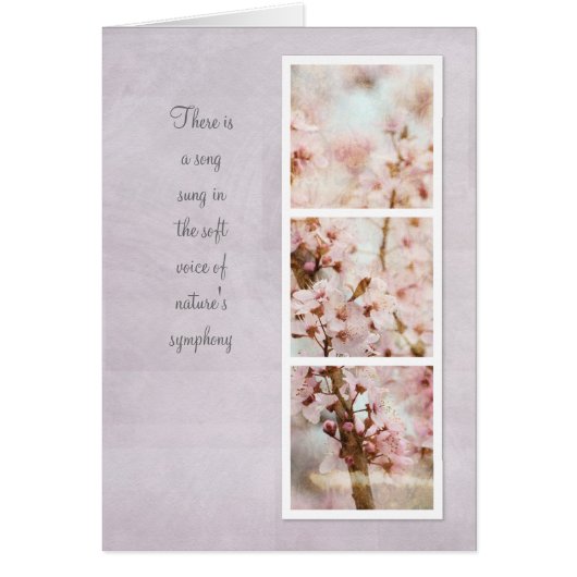 Spring Romance Cherry Blossoms Cards (Front)