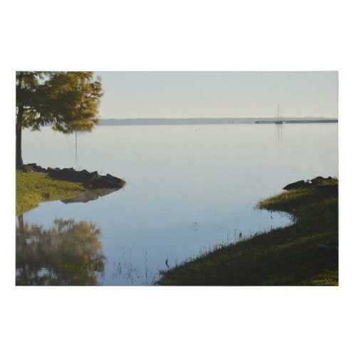 Spring Run to the St Johns River Canvas Print