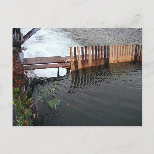 Spring Runoff Postcard (Front)