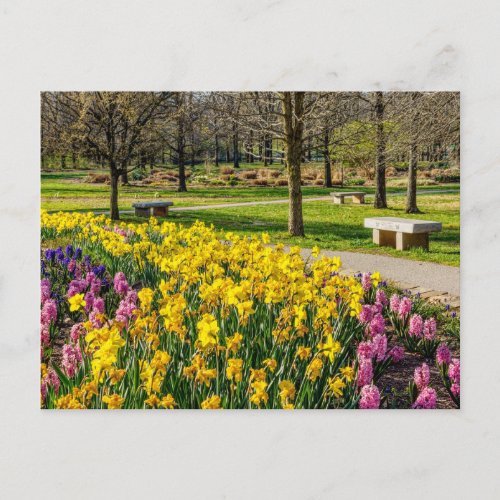 Spring Season Flower Garden Postcard