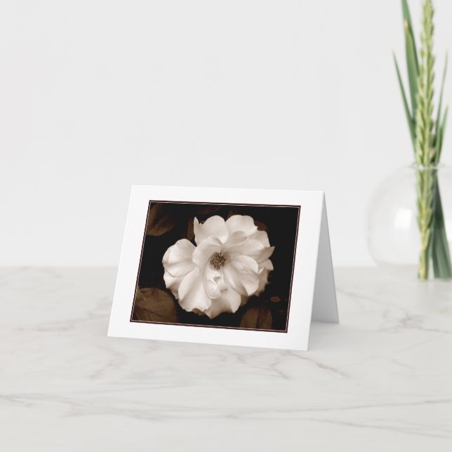 'Spring Sepia Rose' Blank Note Card (Front)