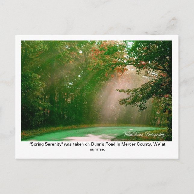 Spring Serenity Postcard (Front)