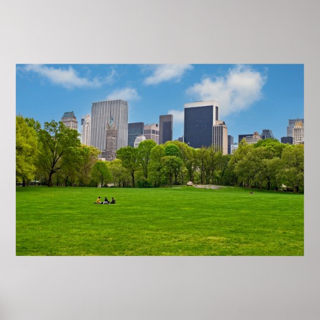 Spring Sheeps Meadow Poster (Front)