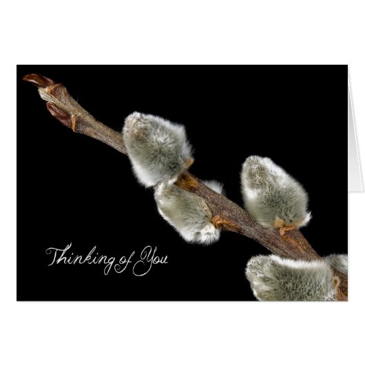 Spring Sign Cards (Front Horizontal)