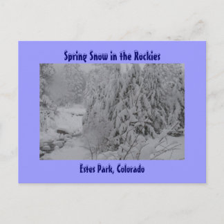 Spring Snow in the Rockies Postcard
