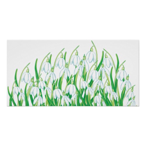 Spring Snowdrops   Poster