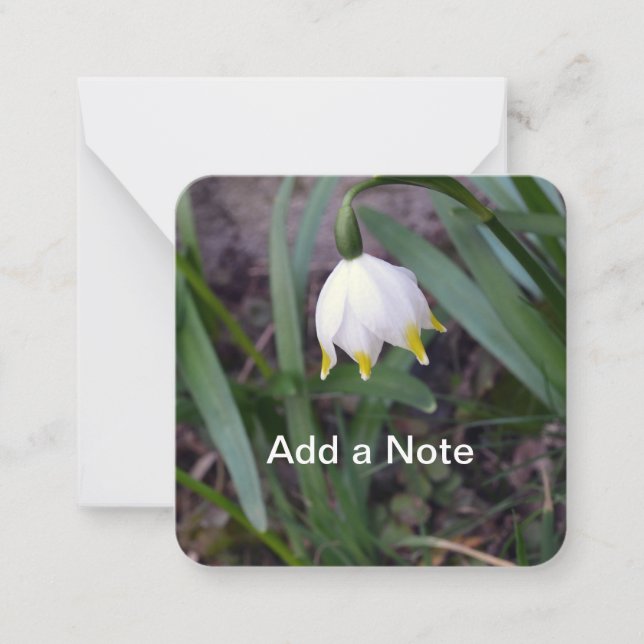 Spring Snowflake Leucojum vernum Customizable Note Card (Front)