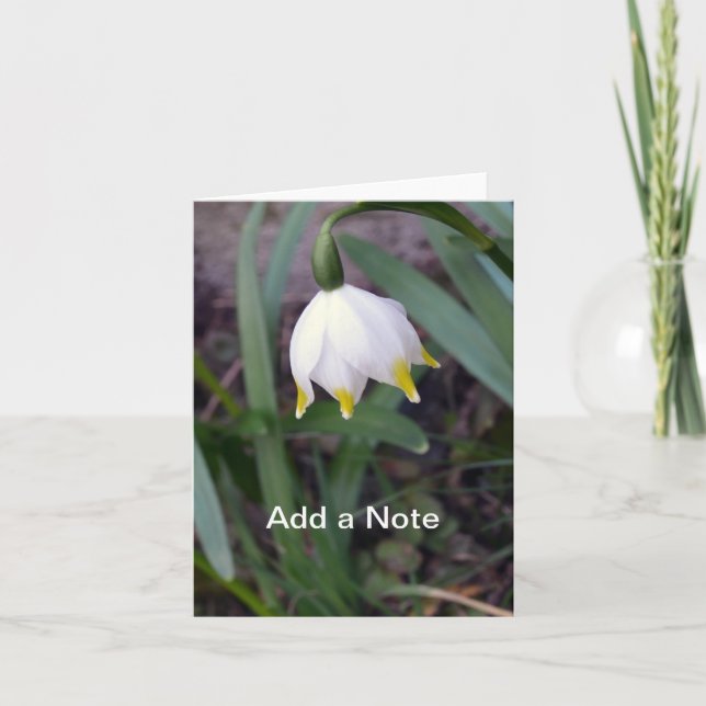 Spring Snowflake Leucojum vernum Customizable Note Card (Front)