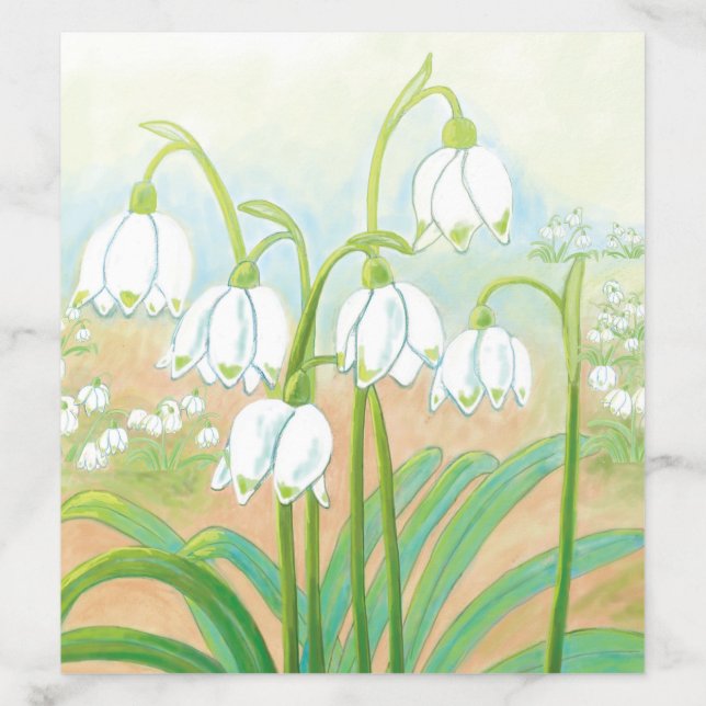 Spring Snowflake, Leucojum vernum Illustration  Envelope Liner (Design)