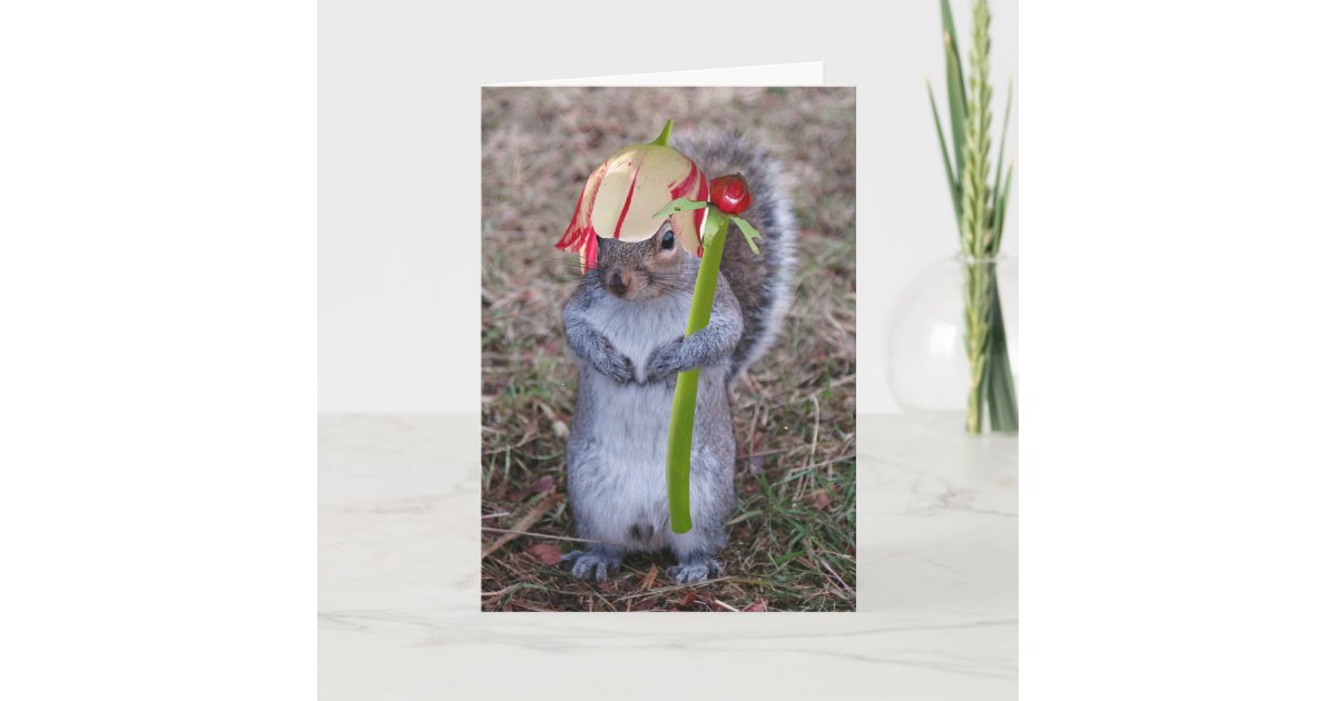 Spring Squirel Happy Spring card | Zazzle