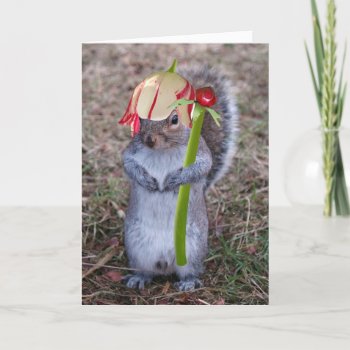 Spring Squirel Happy Spring Card by PugWiggles at Zazzle
