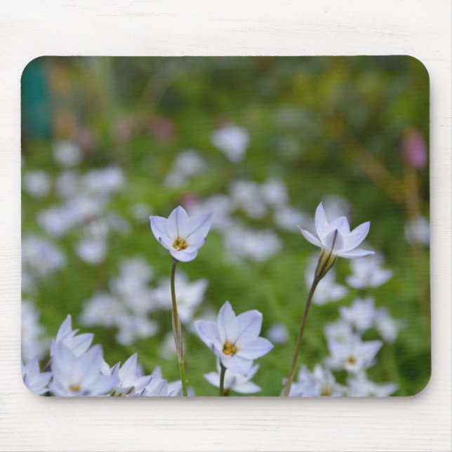 Spring Starflower Mouse Pad (Front)