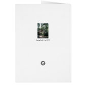 Spring Stroll (Back)