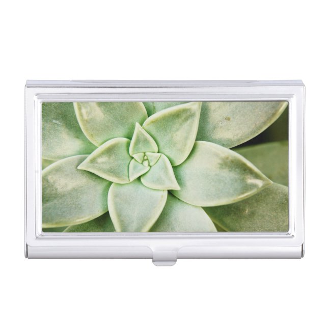 Spring Succulent Business Card Case (Front)