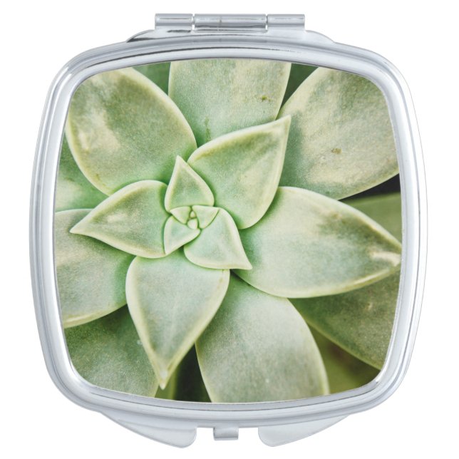 Spring Succulent Compact Mirror (Front)