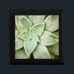 Spring Succulent Gift Box<br><div class="desc">"Spring Succulent I" by Jason Johnson. Features a closeup of a succulent.</div>