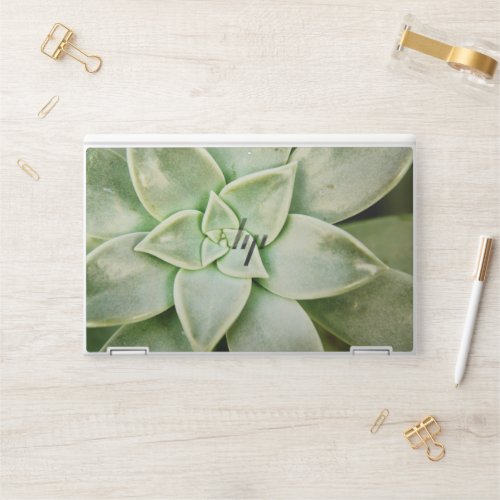 Spring Succulent HP Laptop Skin