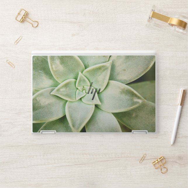 Spring Succulent HP Laptop Skin (Desk)