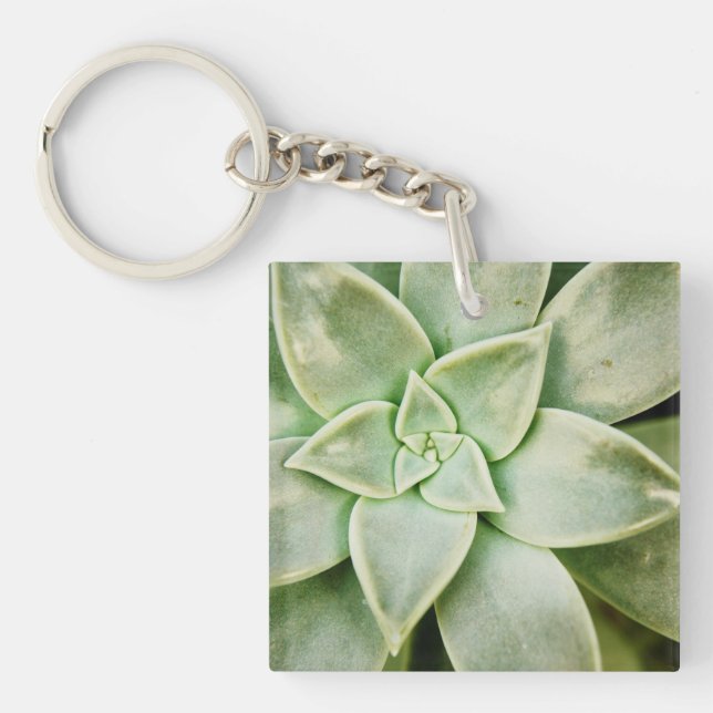 Spring Succulent Keychain (Front)