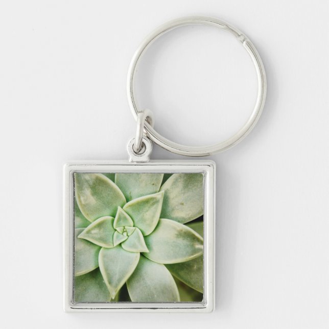 Spring Succulent Keychain (Front)
