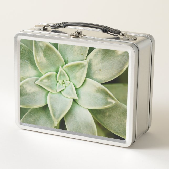 Spring Succulent Metal Lunch Box (Front)
