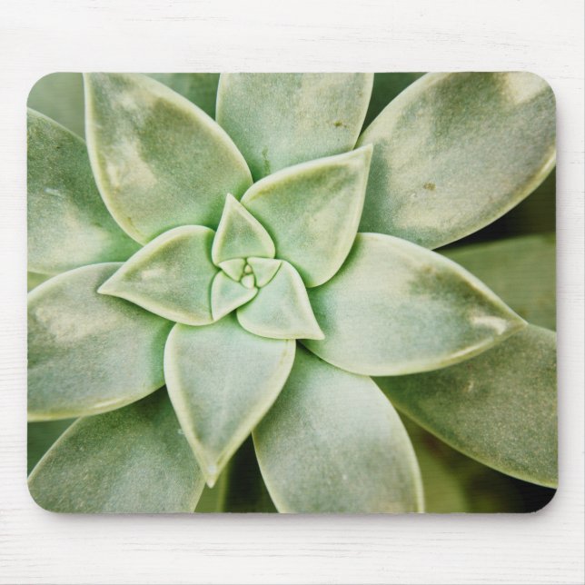 Spring Succulent Mouse Pad (Front)