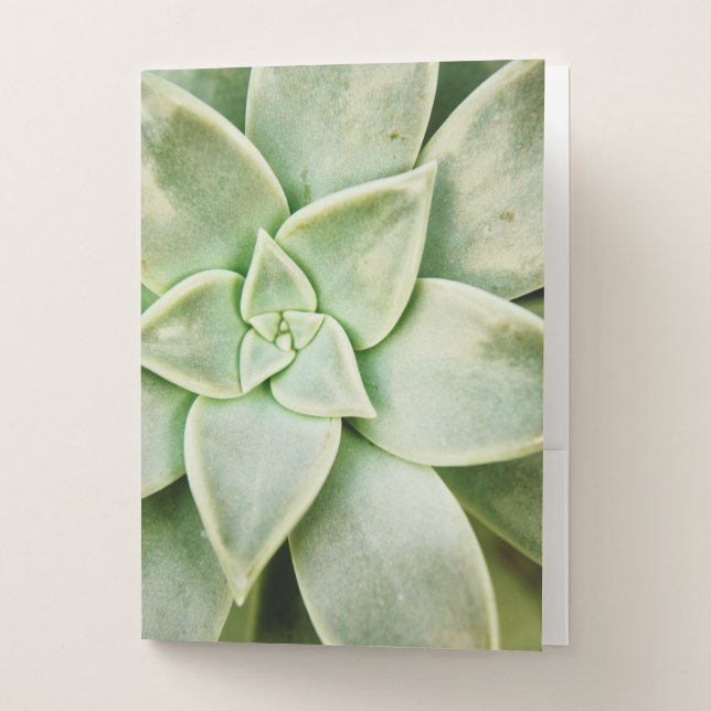 Spring Succulent Pocket Folder (Front)