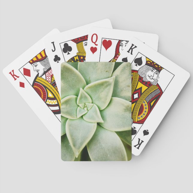 Spring Succulent Poker Cards (Back)