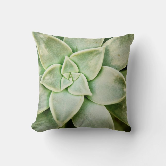 Spring Succulent Throw Pillow (Front)